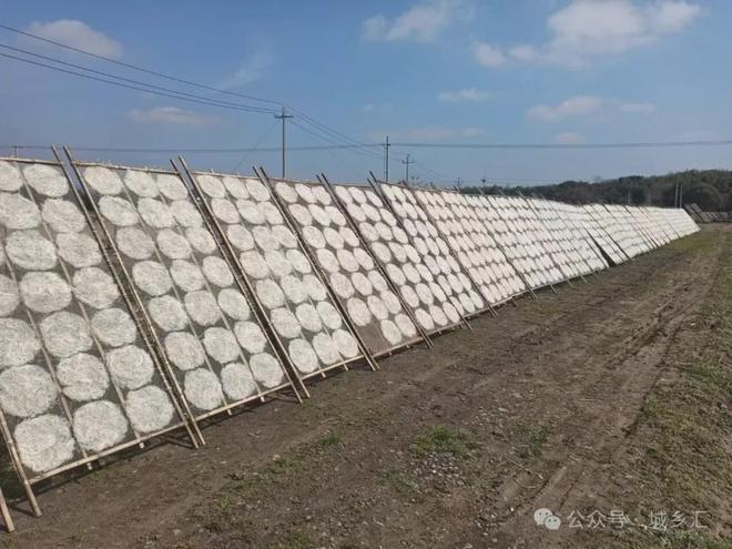 六日「第二人生」可持续闲置市集市集预告!CQ9电子平台入口11月15-16日周(图3) 六日「第二人生」可持续闲置市集市集预告!CQ9电子平台入口11月15-16日周(图3)